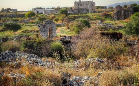 Semi-Private Cultural Tour of Aptera and Chania, Greece