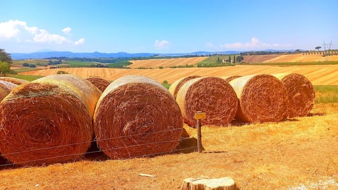 San Gimignano and Chianti Wine Tasting with Lunch  - Photo 2