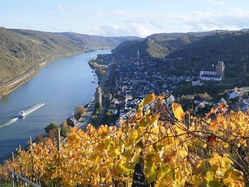 Koblenz to UNESCO World Heritage Site Upper Middle Rhine Valley