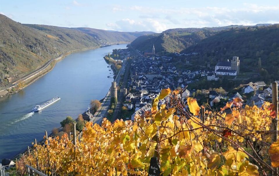 Koblenz to Upper Middle Rhine Valley Cultural Tour