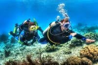 Diving and Snorkeling Day Trip By VIP Boat From Hurghada 10
