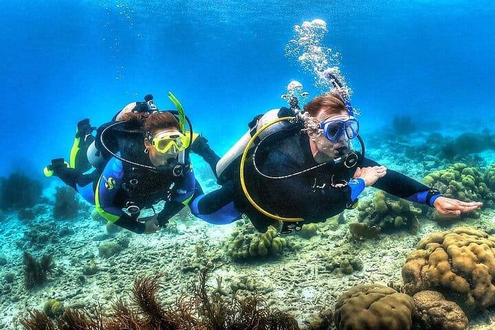 Diving and Snorkeling Day Trip By VIP Boat From Hurghada 10
