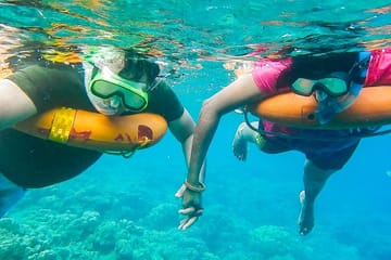 Day Trip to Key West with Free Time from Miami Beach