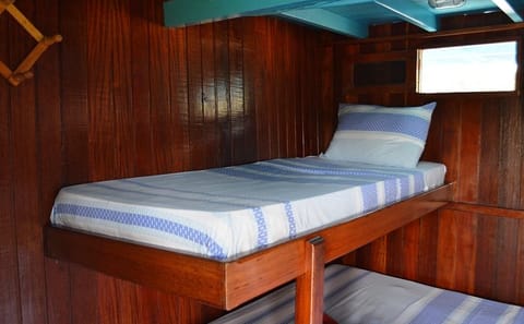 Three-Day Boat Trip from Santarém to Belém, Brazil