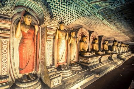 Dambulla Cave Temple and Polonnaruwa Ancient City Tour from Colombo