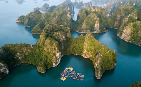 Halong Bay Seaplane Tour for Scenic Aerial Views