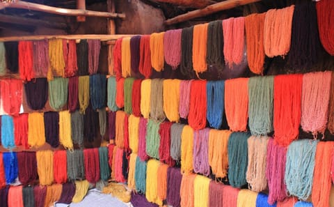 Private 9-Day Cultural and Nature Tour in Lima and Aguas Calientes