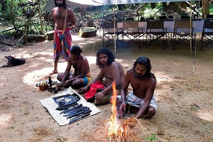 Family Getaway With Kingfisher Tours | 8 Days