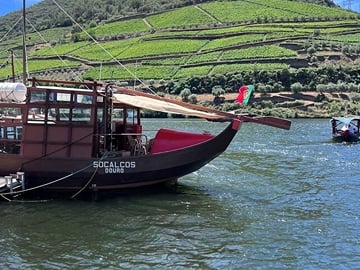 Private Douro Tour from Porto: Optional Wine Tastings & Lunch