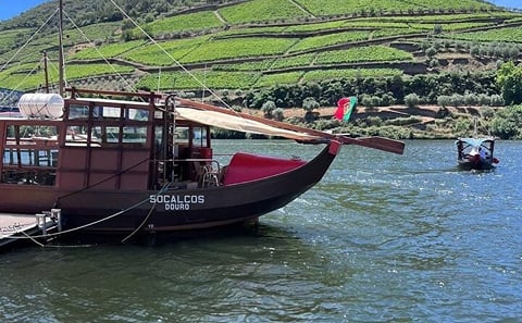 Private Douro Tour from Porto: Optional Wine Tastings & Lunch
