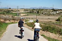 ROUTE IN BIKE AND LUNCH IN WINERY 4
