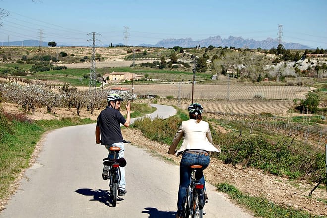 ROUTE IN BIKE AND LUNCH IN WINERY 4