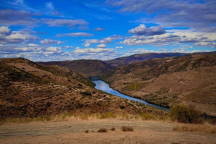 Shared Porto wine Tour By Minivan And Train