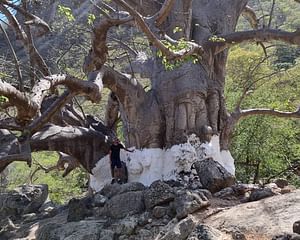 WADI HANNA & THE BAOBAB TREE TRAIL