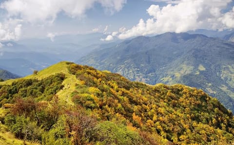 Mardi Himal Homestay Trek: 11 Days of Hiking in Nepal