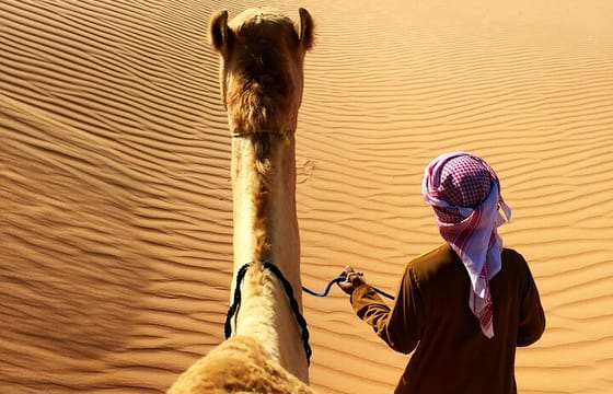 Safari Half-Day Wahiba Sands (Sharqiyah Sands) Desert