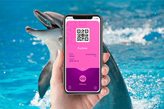 Go Miami Explorer Pass