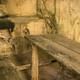 Cu Chi Tunnels Small Group Tour Morning or Afternoon