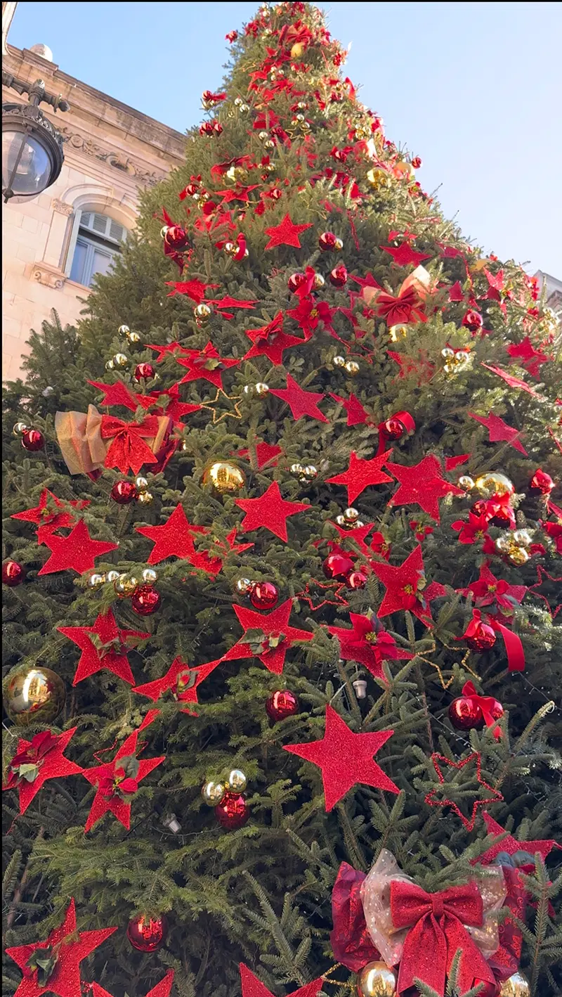 A Christmas tree decorated with red stars