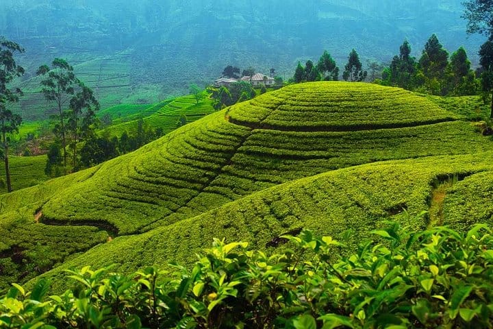 Family Getaway With Kingfisher Tours | 8 Days