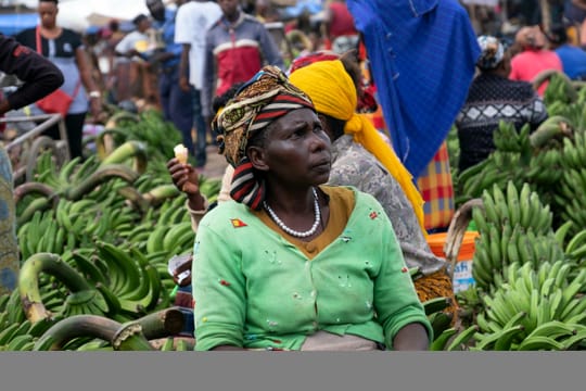 Moshi Cultural Day: Materuni Waterfall, Coffee Tour | City Tour
