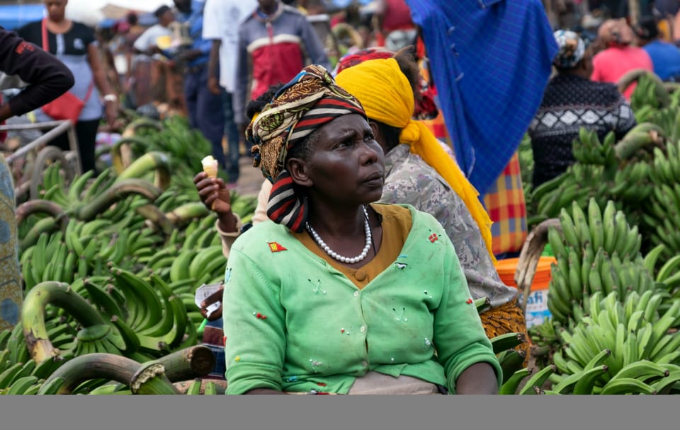 Cultural Day Tour in Moshi: Materuni Waterfall and Coffee Experience