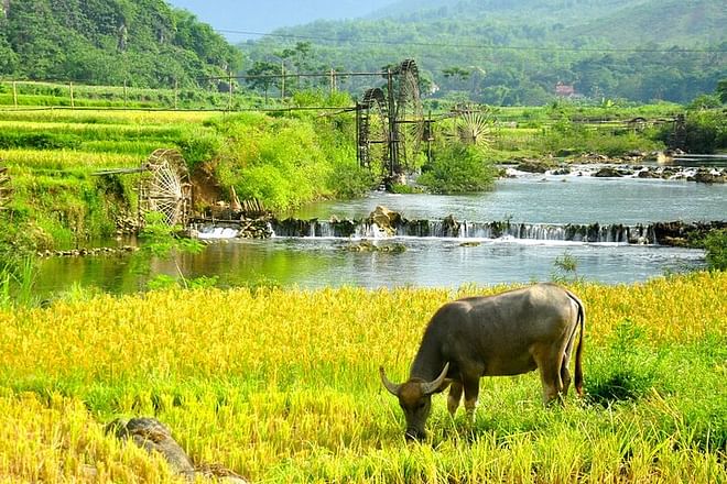 Pu Luong Nature Reserve 2 Days 1 Night Daily Depart From Hanoi