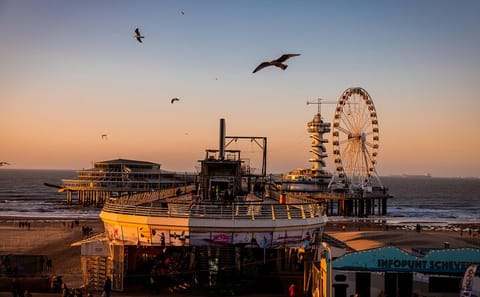Day Trip to Rotterdam, Delft, and The Hague from Amsterdam