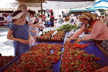 Manavgat Boat, Bazaar & Waterfall Tour with Transfer from Alanya