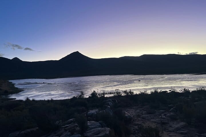 Cape Town Aquila Game Reserve Big 5 Sunset Safari with Transport