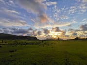 Tongariki Sunrise: Half Day Private Tour  10