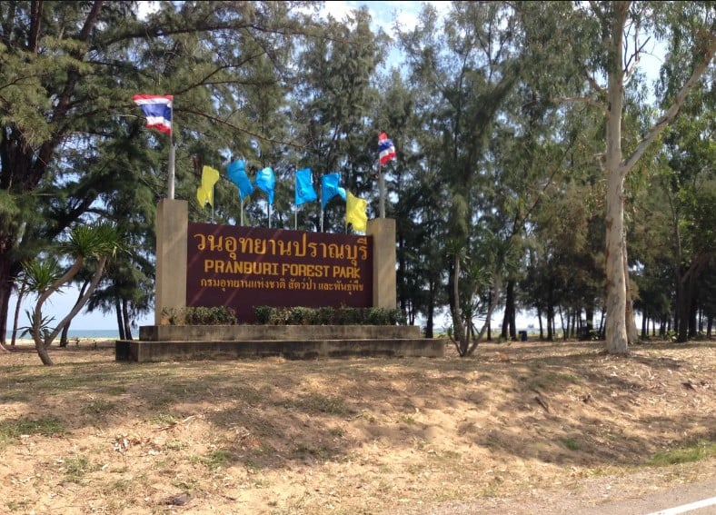 Mangrove Forest Park Nature Trail and River Boat Ride to Khao Daeng Mountain with Private Guide 7