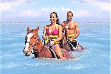 Horseback Riding and River Rapids Adventure in Duncans, Jamaica