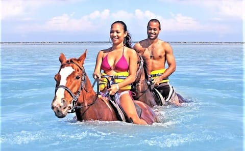 Horseback Riding and River Rapids Adventure in Duncans, Jamaica