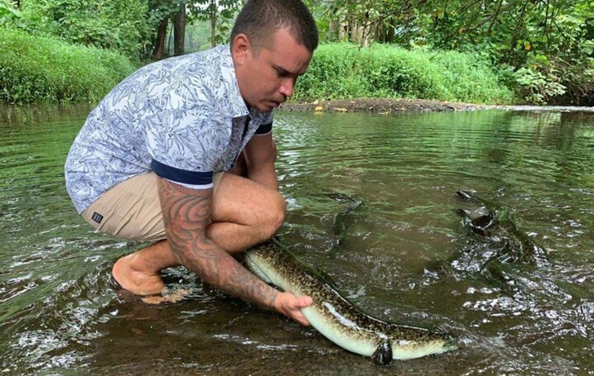 4×4 Moorea Safari Tours : Private tours