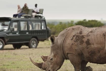 4 Days Ol Pejeta and Samburu National Reserve Safari on 4×4 Jeep