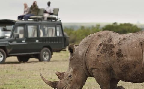 4-Day Safari Adventure in Ol Pejeta and Samburu, Kenya