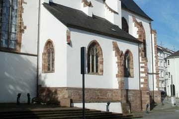 Guided City Walk in Saarbrücken: Explore History and Culture