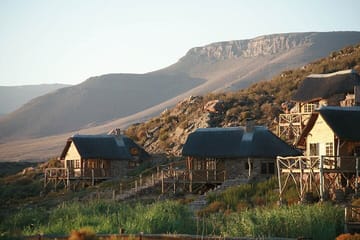 Aquila Reserve Safari with Lunch and Wine tasting
