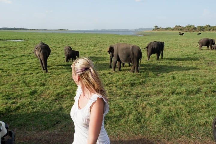 Minneriya National Park