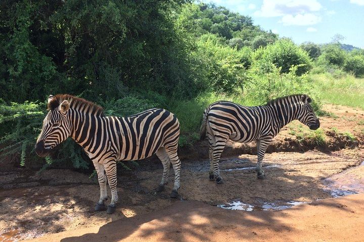 Zebra crossing in Pilansburg