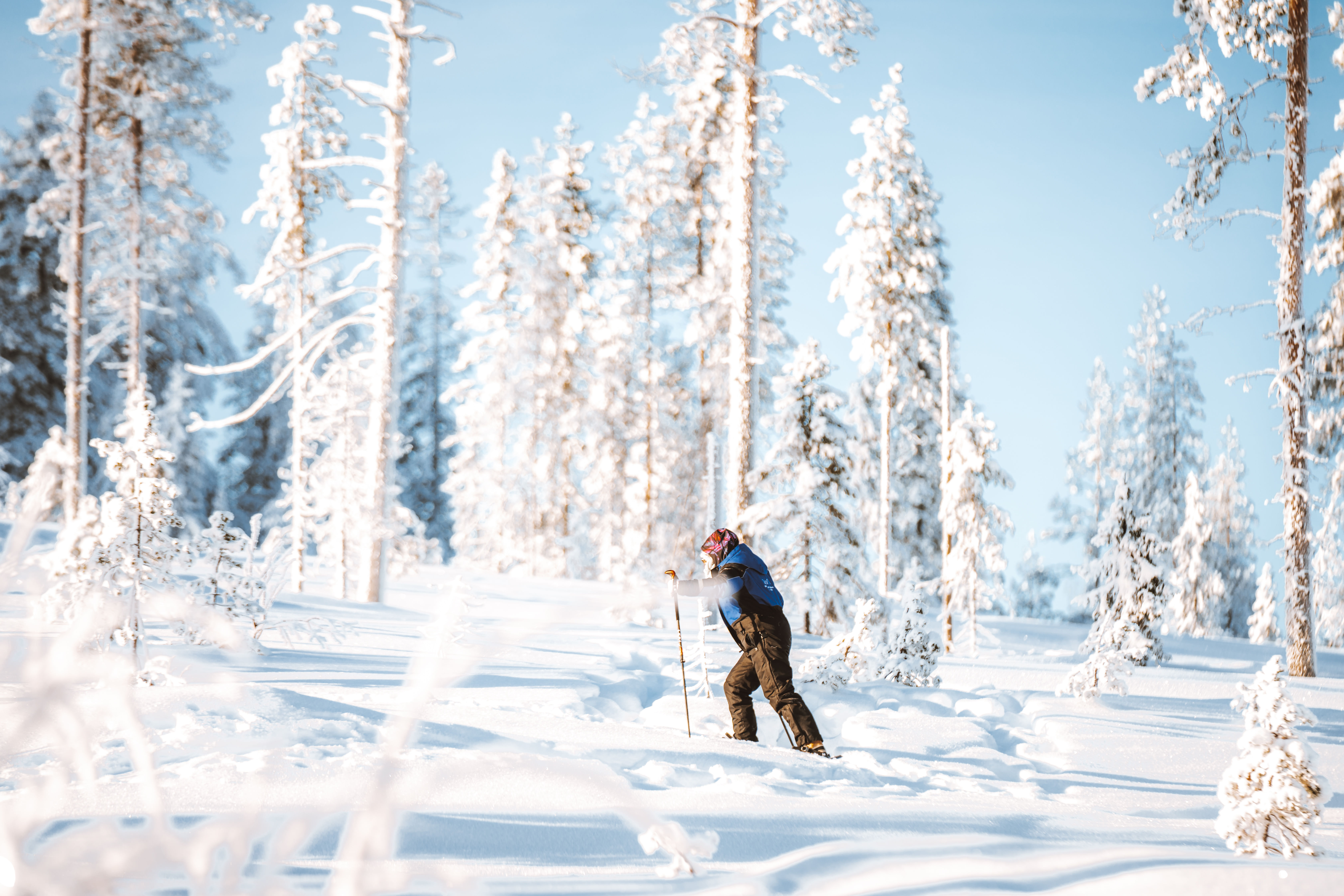 Ski Trekking Experience in Lapland