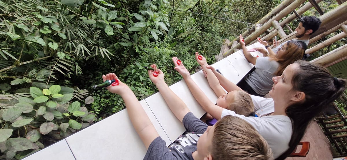 Private Full-Day Mindo Cloud Forest, Butterfly Farm, and Chocolate Tour