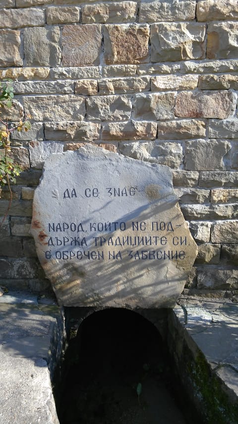 Skip the Line: Tour in Open Air Ethnographic Museum ETAR + ticket 4