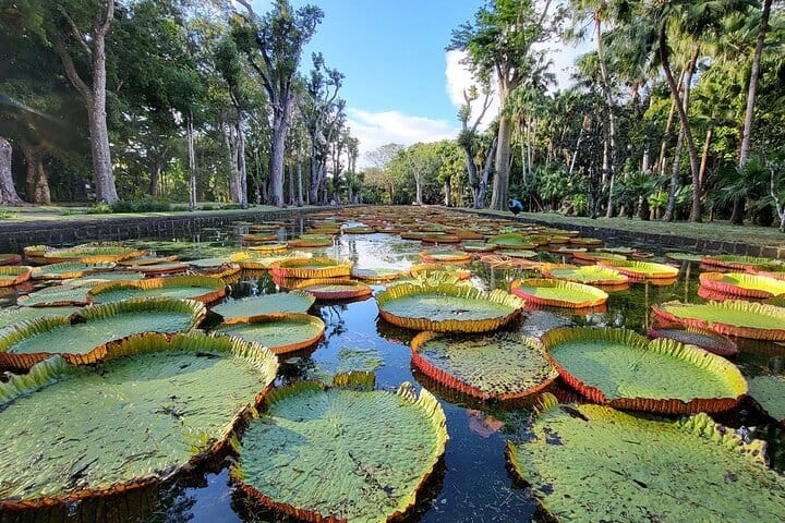 Discover North Mauritius: Private & Tailored Full-Day Adventure  2