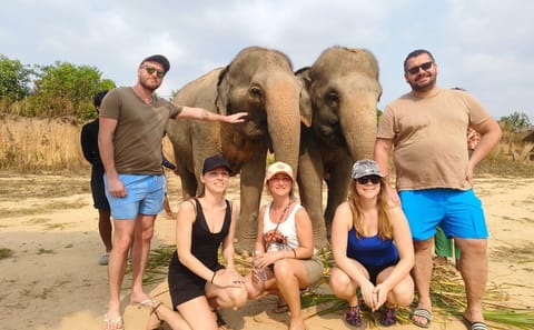 Half-Day Elephant Sanctuary Experience in Siem Reap
