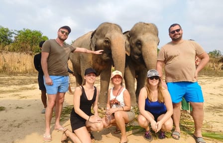Half-Day Elephant Sanctuary Experience in Siem Reap