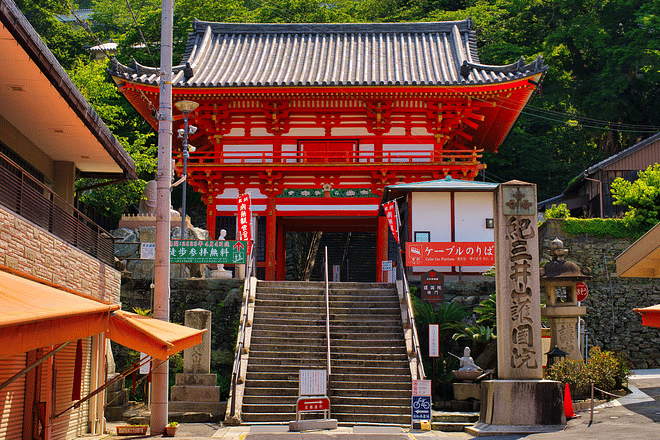 Wakayama Custom Day Tour