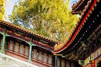 6 days private tour of Beijing and Shanghai by bullet train. 4
