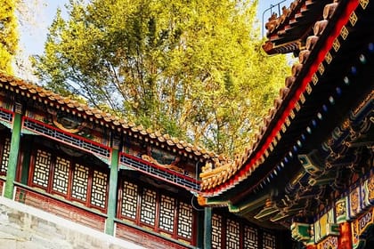 6 days private tour of Beijing and Shanghai by bullet train.